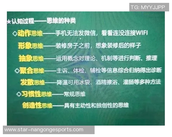 数据分析V5意识表现的多维度探讨与实践应用分析